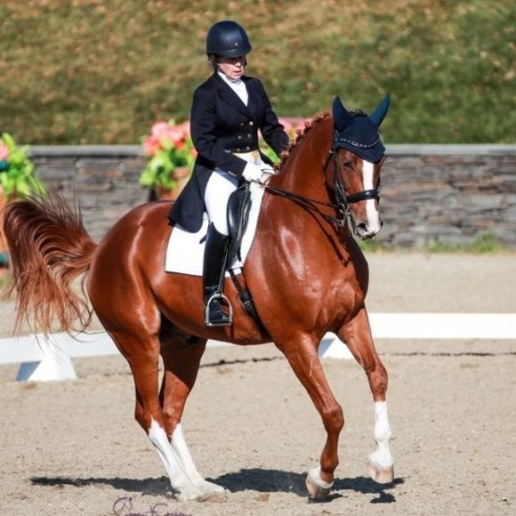 Meet your Posher, Denise - Picture 1 of 1